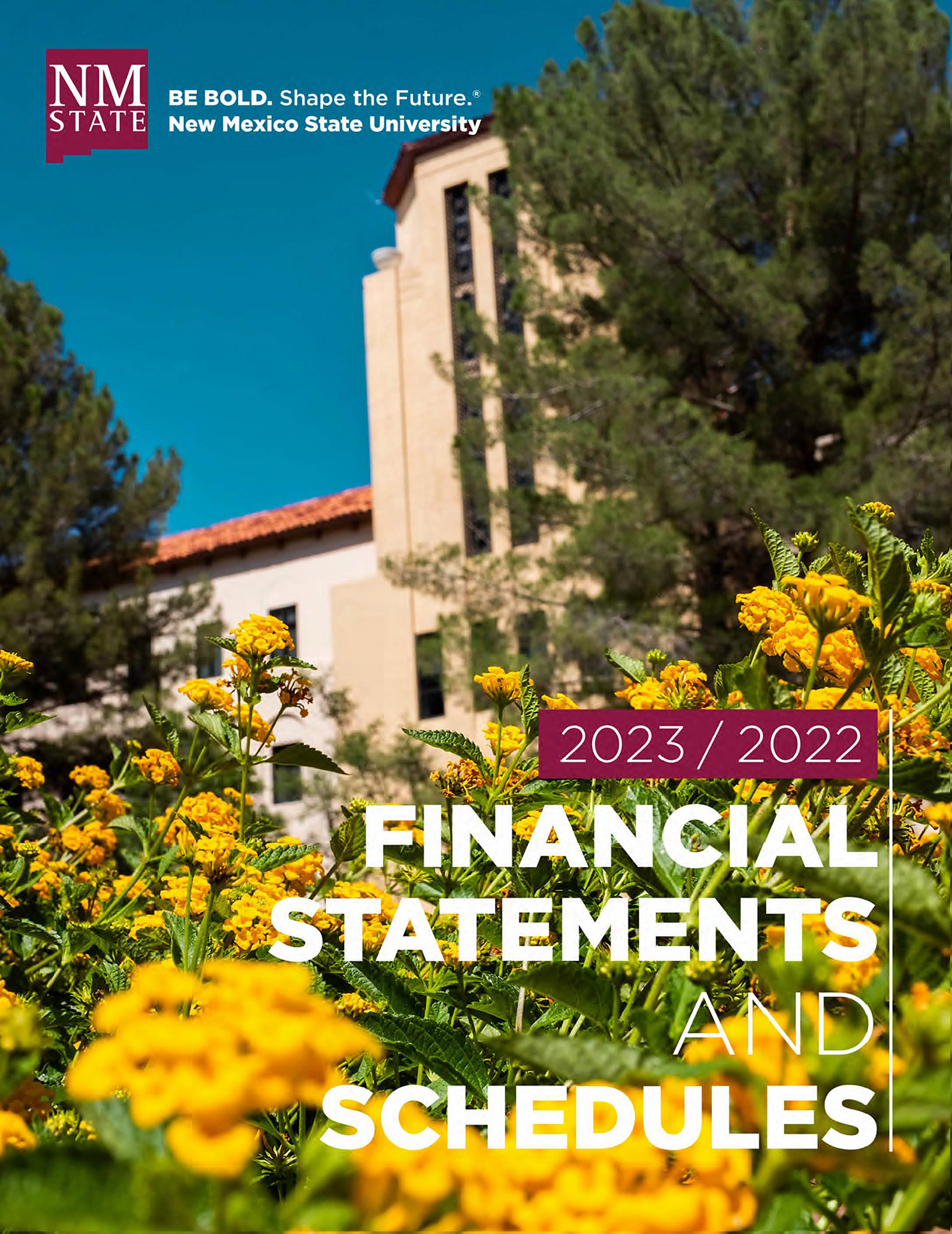 2021-2022 Financial Statements and Schedules